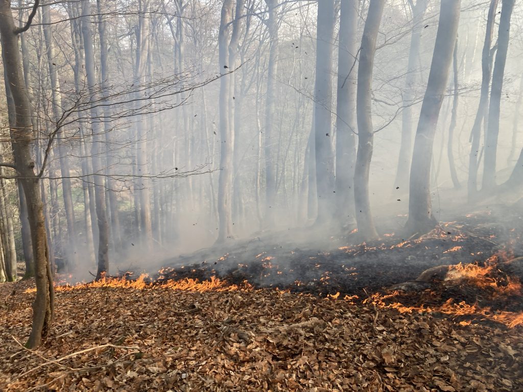 Foto: Feuerwehr Kaiserslautern