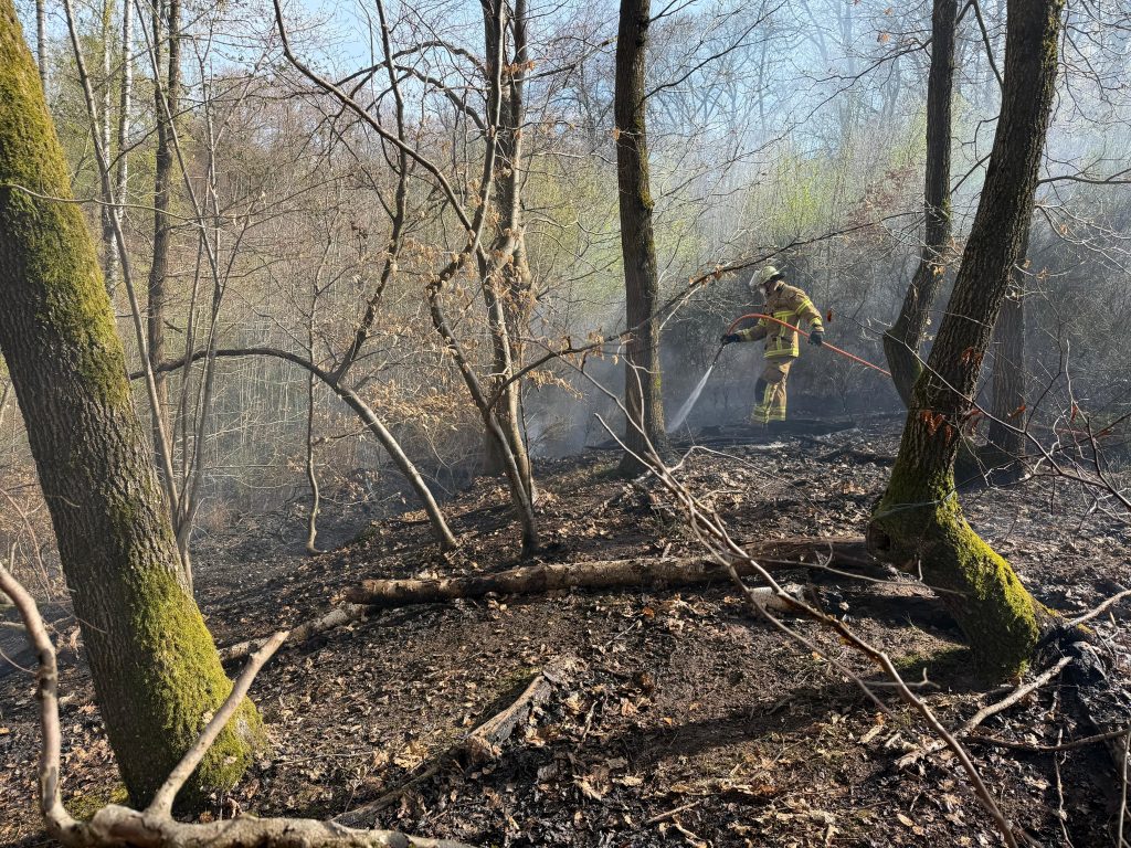 Foto: Feuerwehr Kaiserslautern
